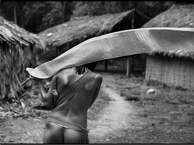 After seeing the forest, Sebastião Salgado is now able to see the trees.