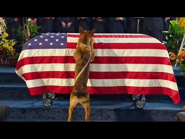 At Battleship, the military K9 will be honored with a funeral and serve as a symbol for all military working dogs.