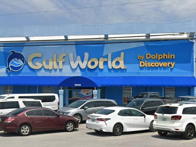 A Florida theme park was raided following dolphin deaths, one of the worst conditions.