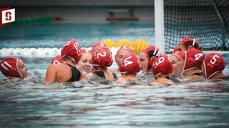Selections for the 2025 Women’s NCAA Water Polo Championship Unveiled