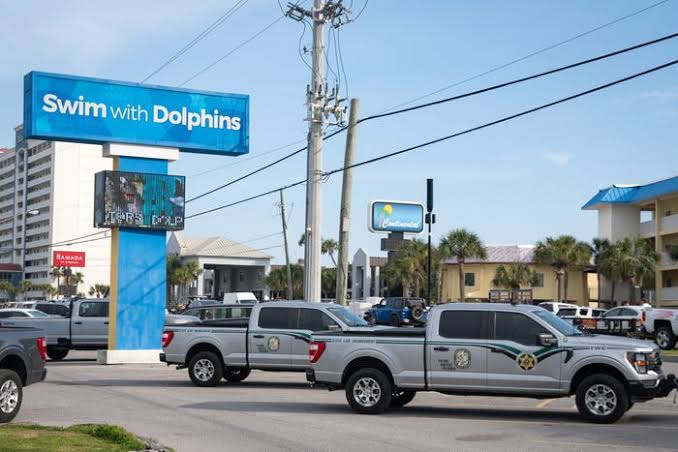 Possible removal of animals from Gulf World Marine Park